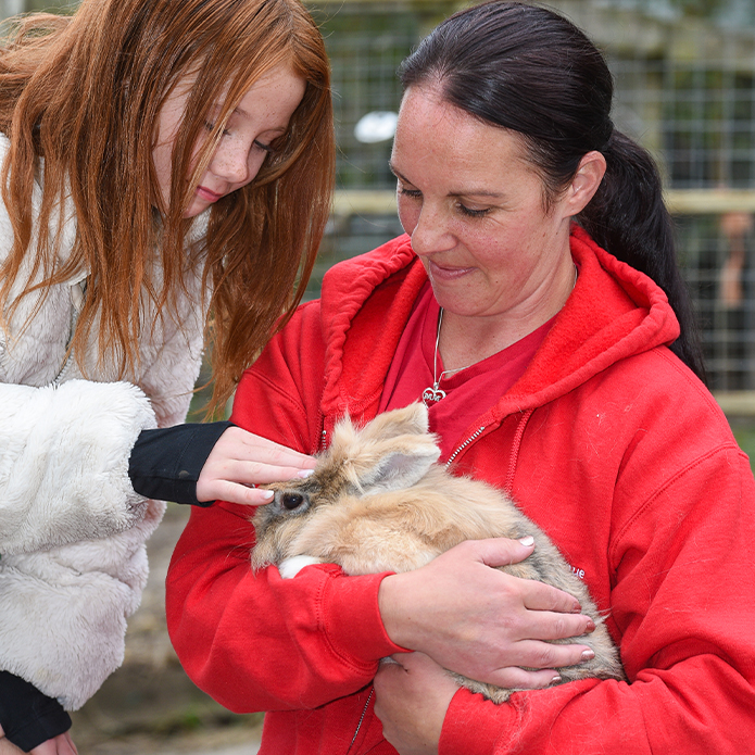 Two people, one in a red hoodie and the other in a white jacket, gently interact with a fluffy rabbit, highlighting a hands-on animal encounter experience