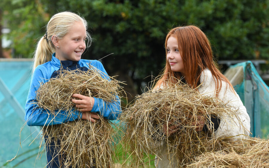 Two individuals holding bundles of hay outdoors with greenery and a blue structure in the background.