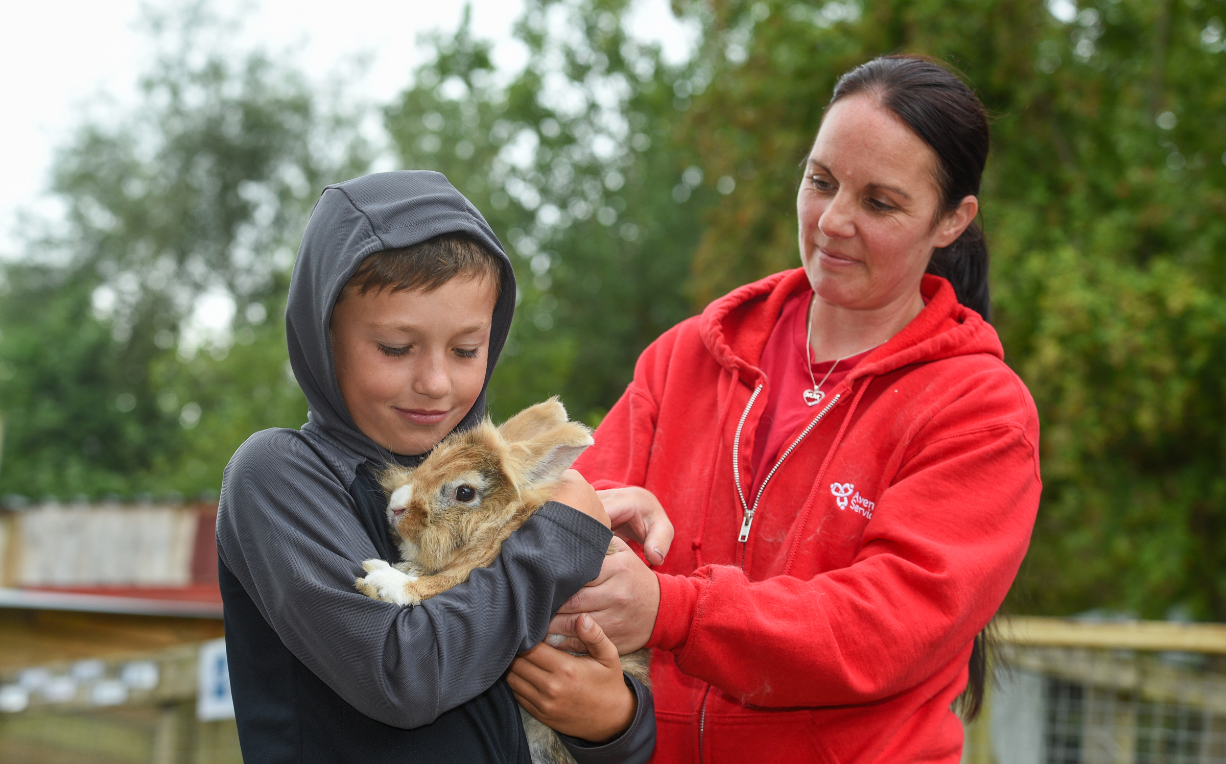 Child holding a rabbit with adult assistance in an outdoor natural setting.