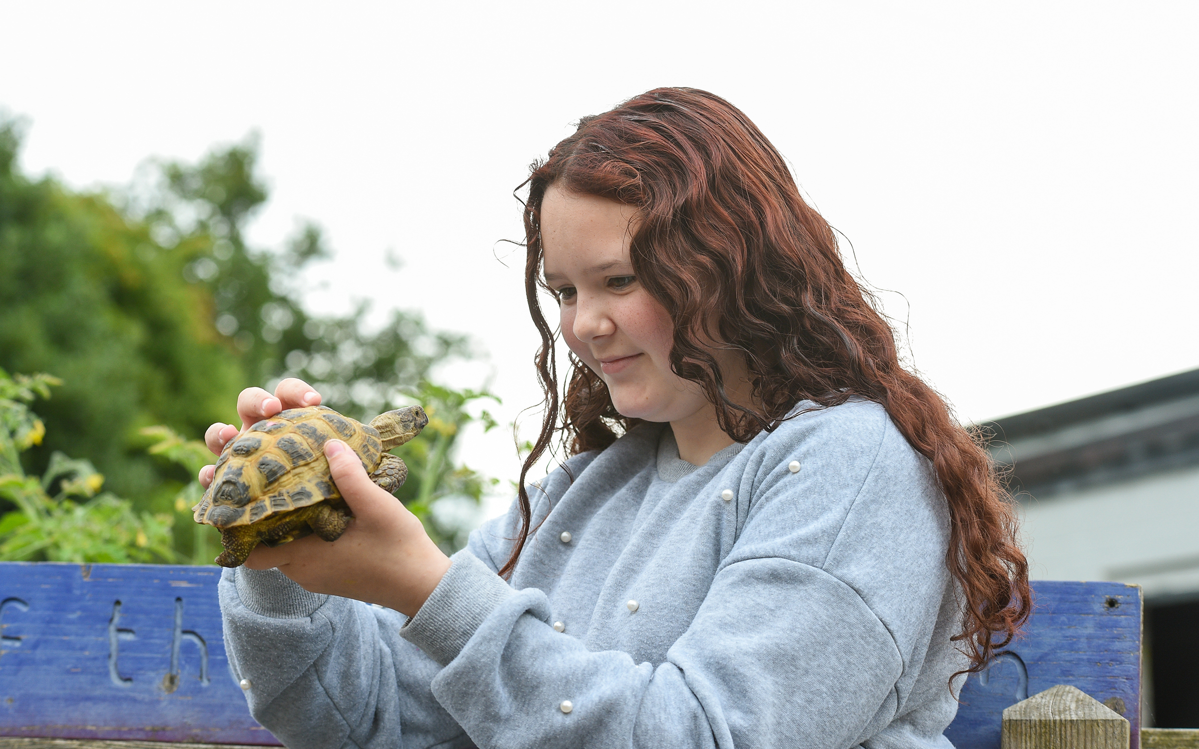 Person with long curly hair in a grey pearl-embellished sweater holding a small tortoise outdoors with lush green foliage in the background